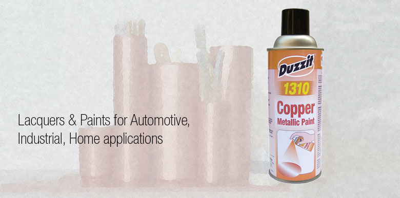 Duzzit Aerosols for Home Applications